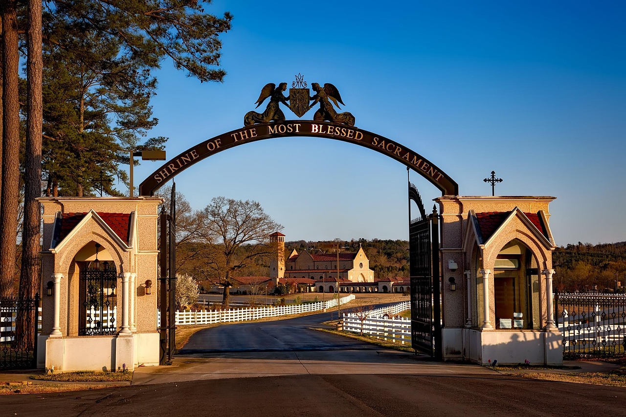 孝南區(qū)最新疫情動態(tài)更新報告