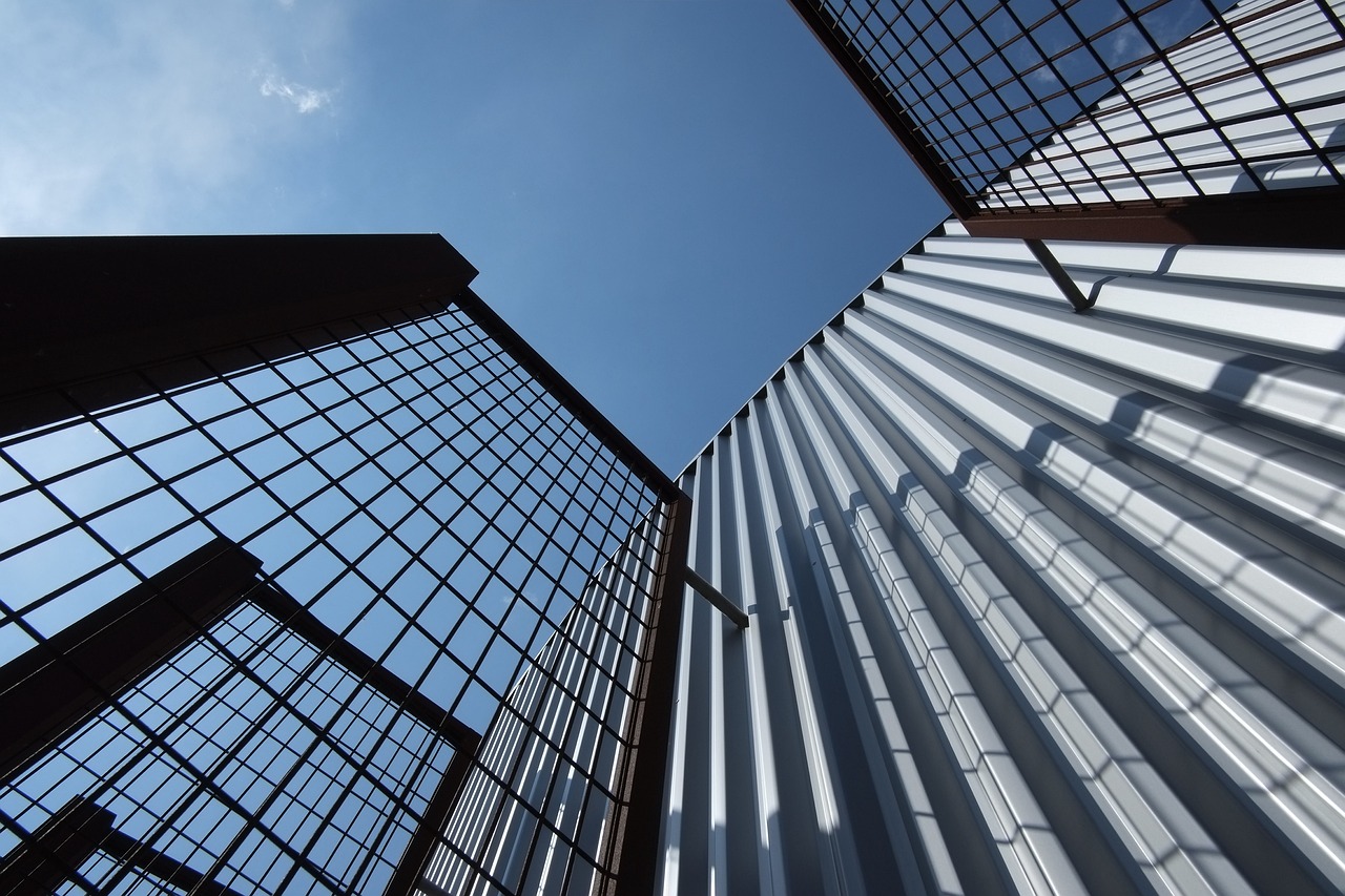 櫸樹行情價分析，市場走勢與未來發(fā)展展望