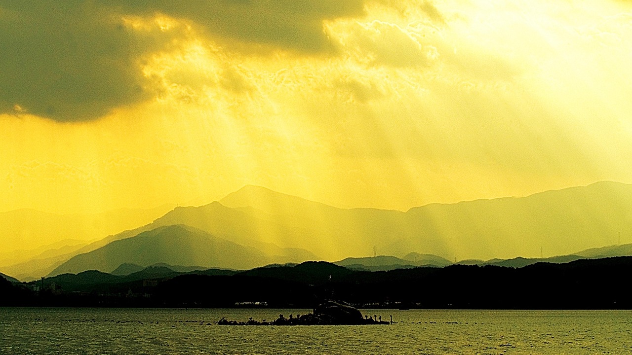 松發(fā)股份最新動(dòng)態(tài)解析,全面梳理公司最新消息與發(fā)展動(dòng)態(tài)