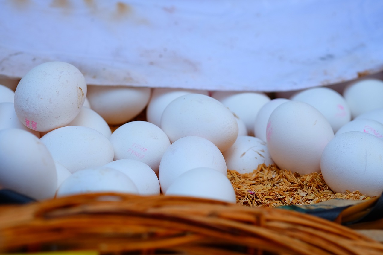 今日雞蛋價(jià)格動(dòng)態(tài),市場趨勢分析與展望——健康向上的市場走勢