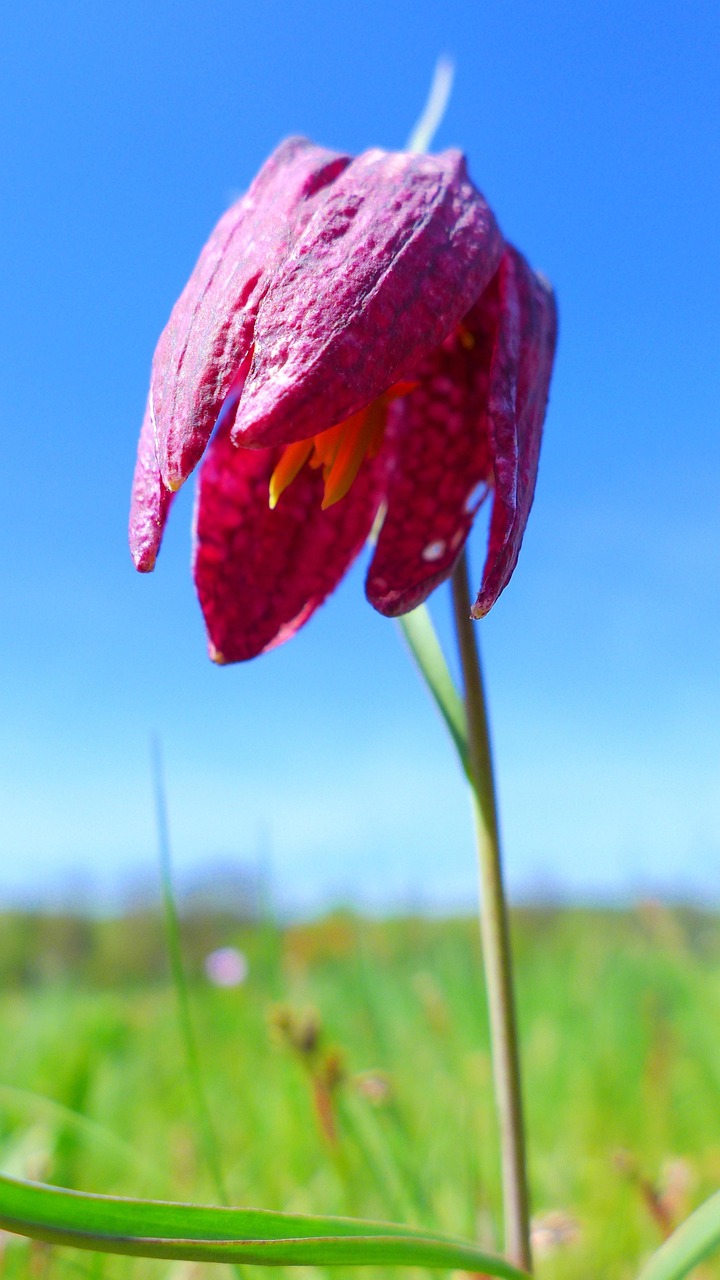 山亭區(qū)最新版圖揭秘，地域特色與發(fā)展動(dòng)態(tài)一覽