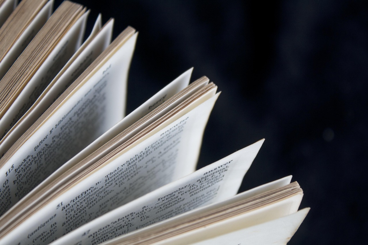 公安輔警改革動(dòng)態(tài),開(kāi)啟警務(wù)體系改革新篇章