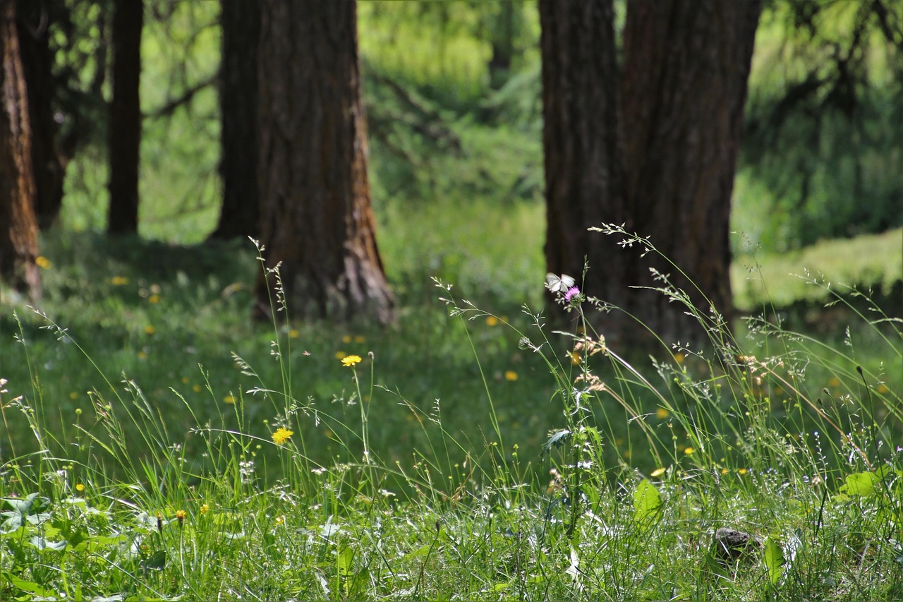 沿河人事任免動(dòng)態(tài)，探索人事變革與區(qū)域發(fā)展的交融共生之路