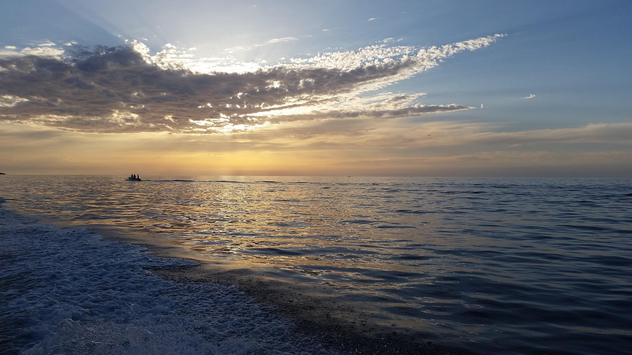 武漢小杭新動(dòng)態(tài),城市脈搏的躍動(dòng)