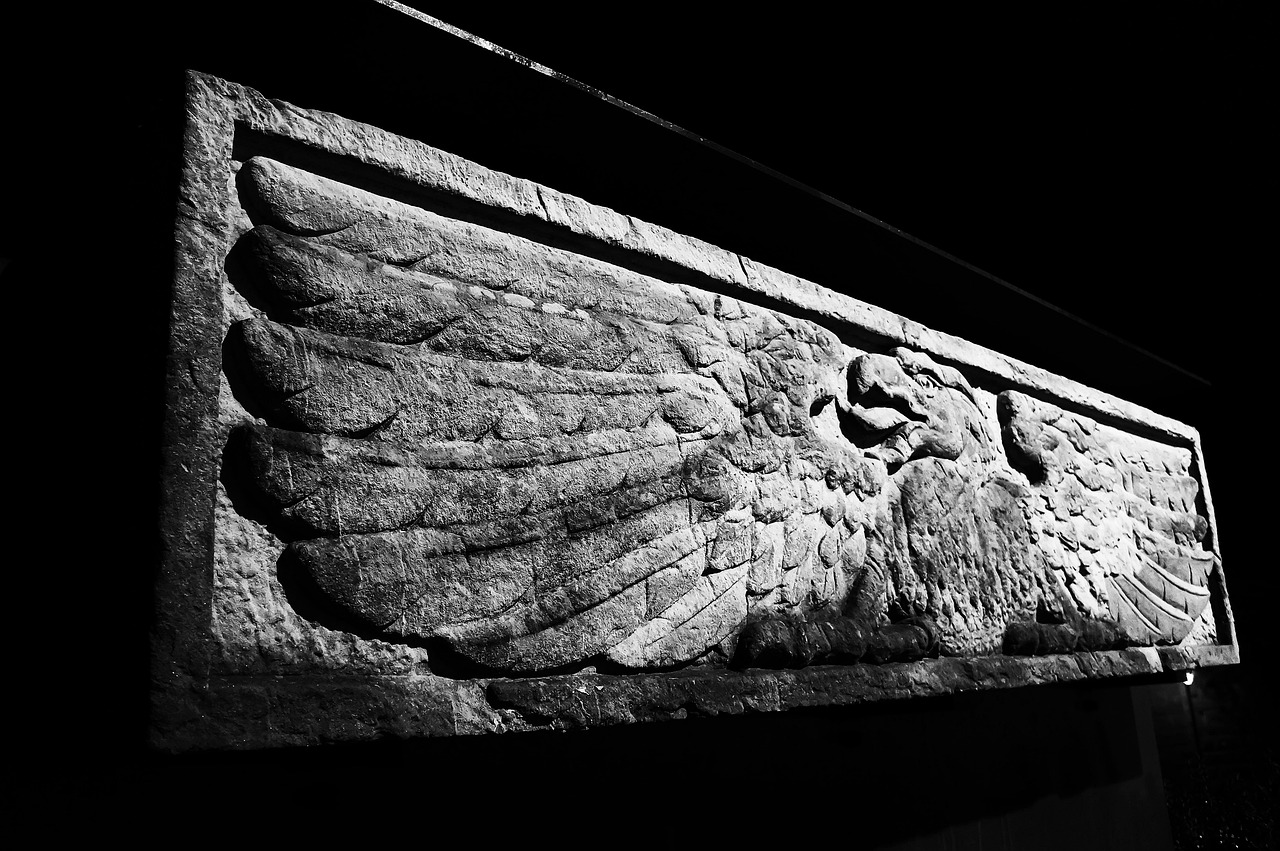 親賢村史最新動態(tài)更新，最新發(fā)展及變化