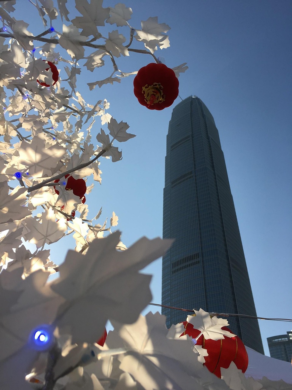 新加坡國(guó)際電影節(jié),亞洲電影的璀璨展示平臺(tái)