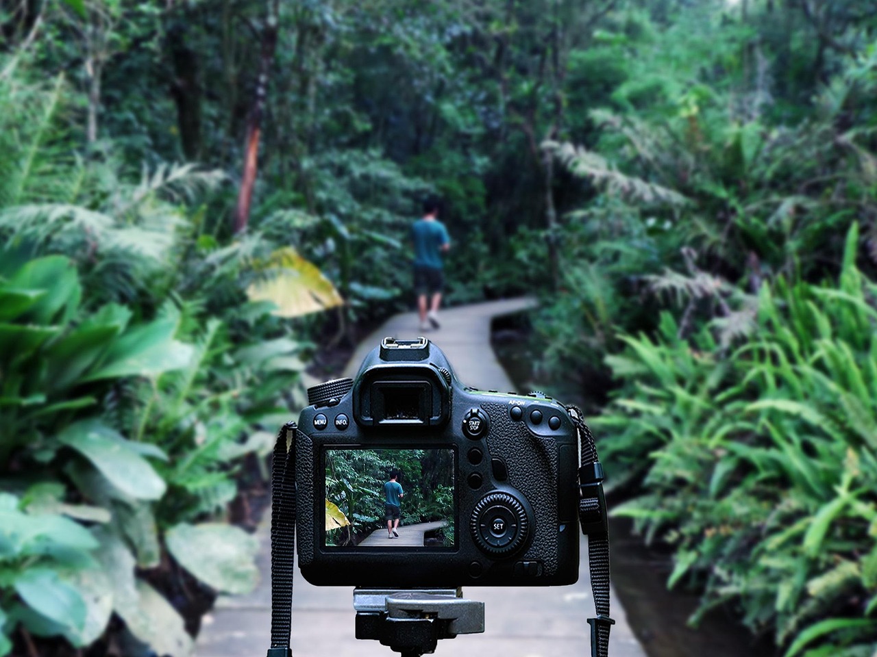 哈西花園小學最新資訊概覽，校園動態(tài)一網(wǎng)打盡