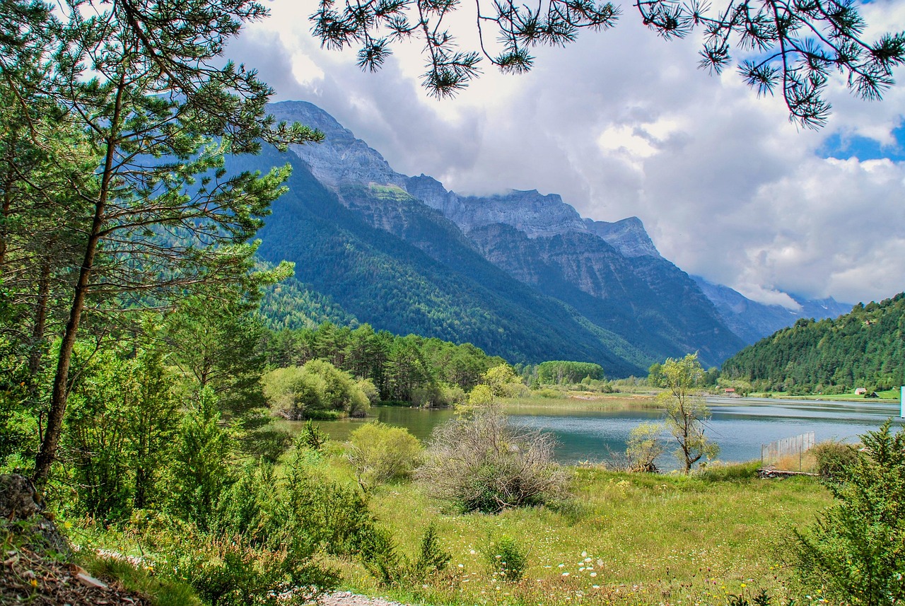 十一進京出京最新動態(tài)更新