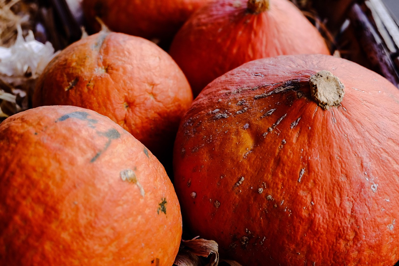 全國鴨蛋價格行情走勢及分析