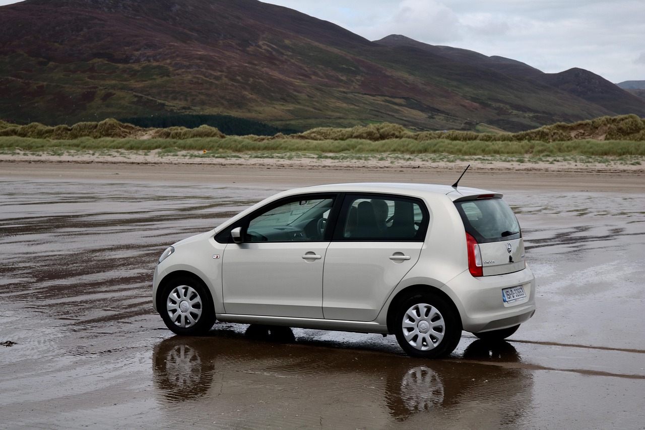 清軍路3網(wǎng)最新動(dòng)態(tài)，深度解析及前瞻性探討