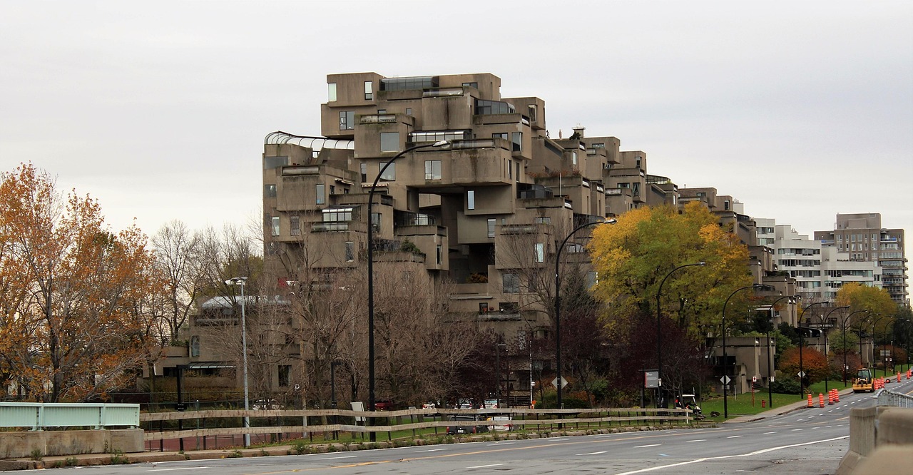 扭曲樹精新動態(tài)，展現(xiàn)自然之美的獨特風采