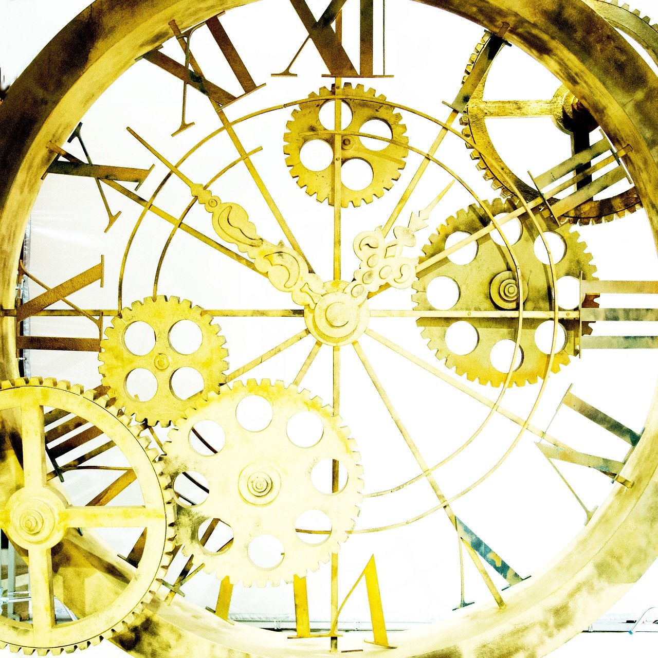 揚(yáng)州寶緣珠寶最新動態(tài)揭曉，璀璨未來展望