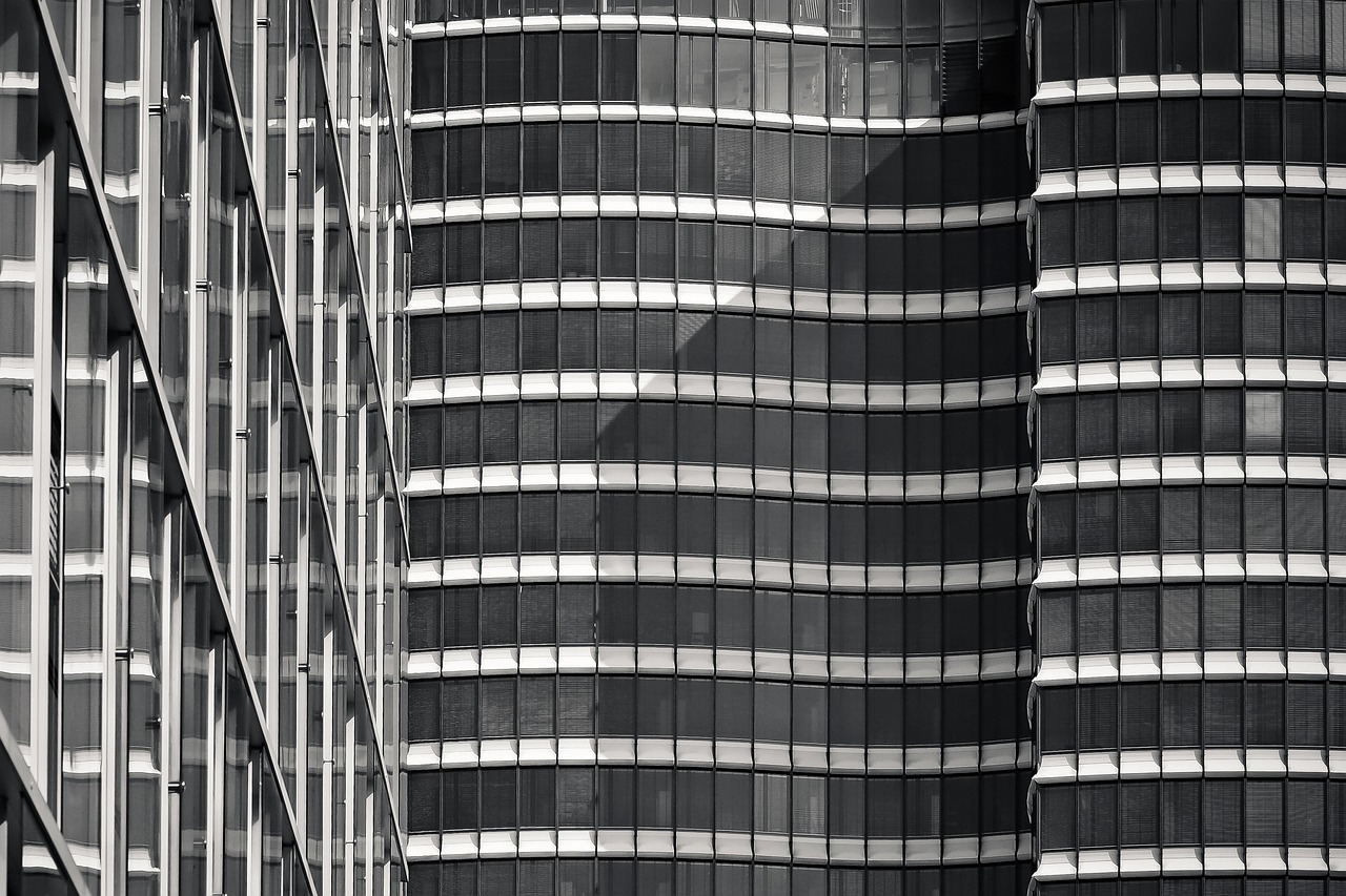 最新黑玉米價(jià)格行情分析與趨勢(shì)預(yù)測(cè)