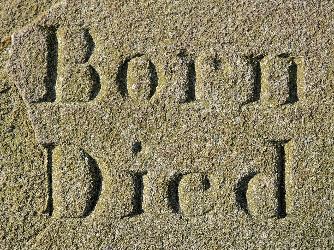 生與死的較量與探索,死亡作業(yè)最新章節(jié)閱讀