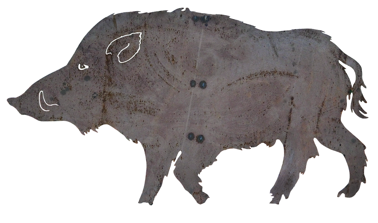 探索捉蟹的藝術(shù)，抓螃蟹技巧分享與實(shí)戰(zhàn)指南