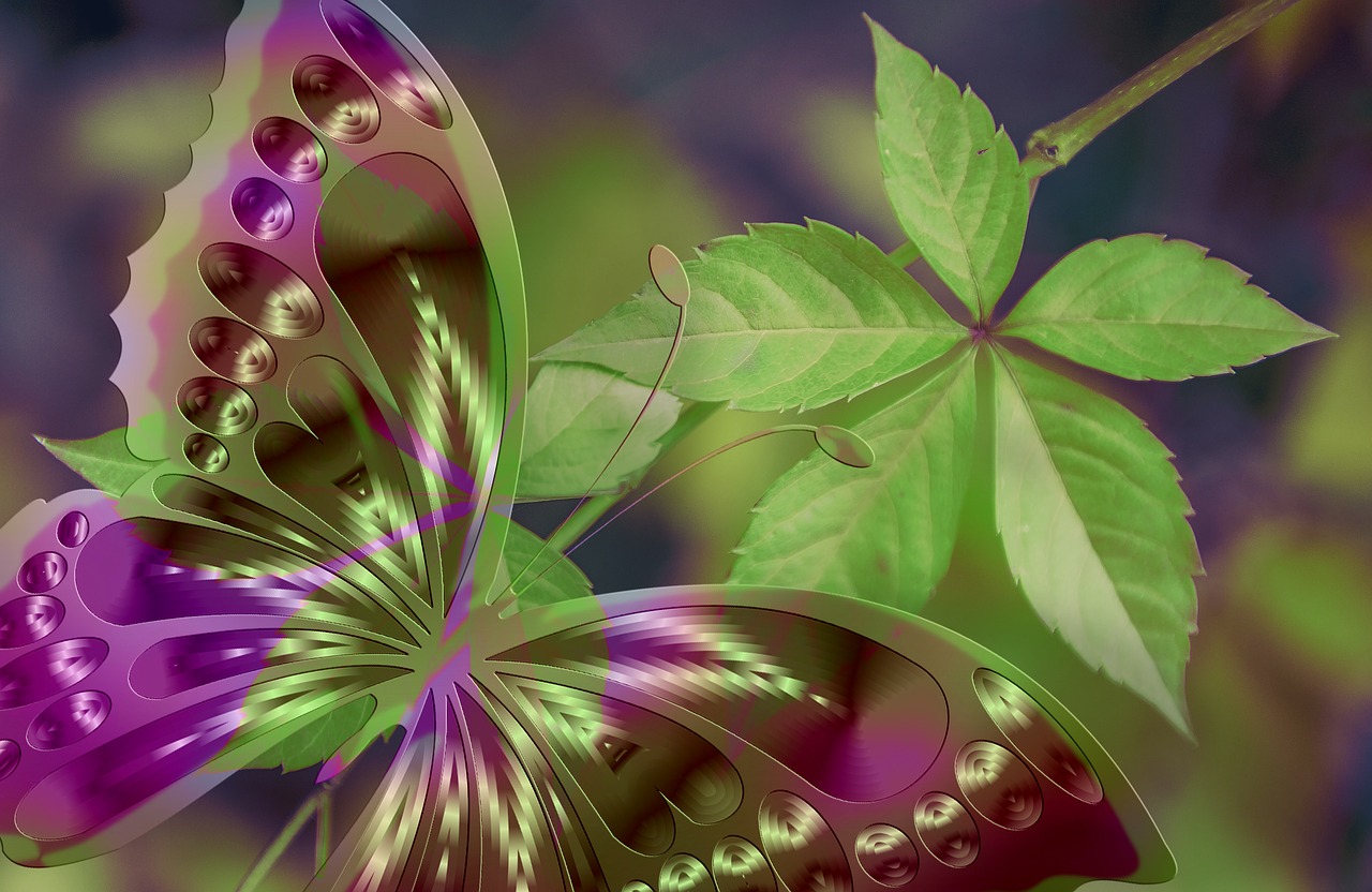 動漫美學(xué)探索，可愛壁紙的魅力無限