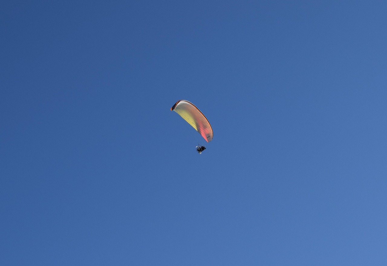 思茅區(qū)人事任免最新動態(tài)揭秘，最新任免名單及職務(wù)安排
