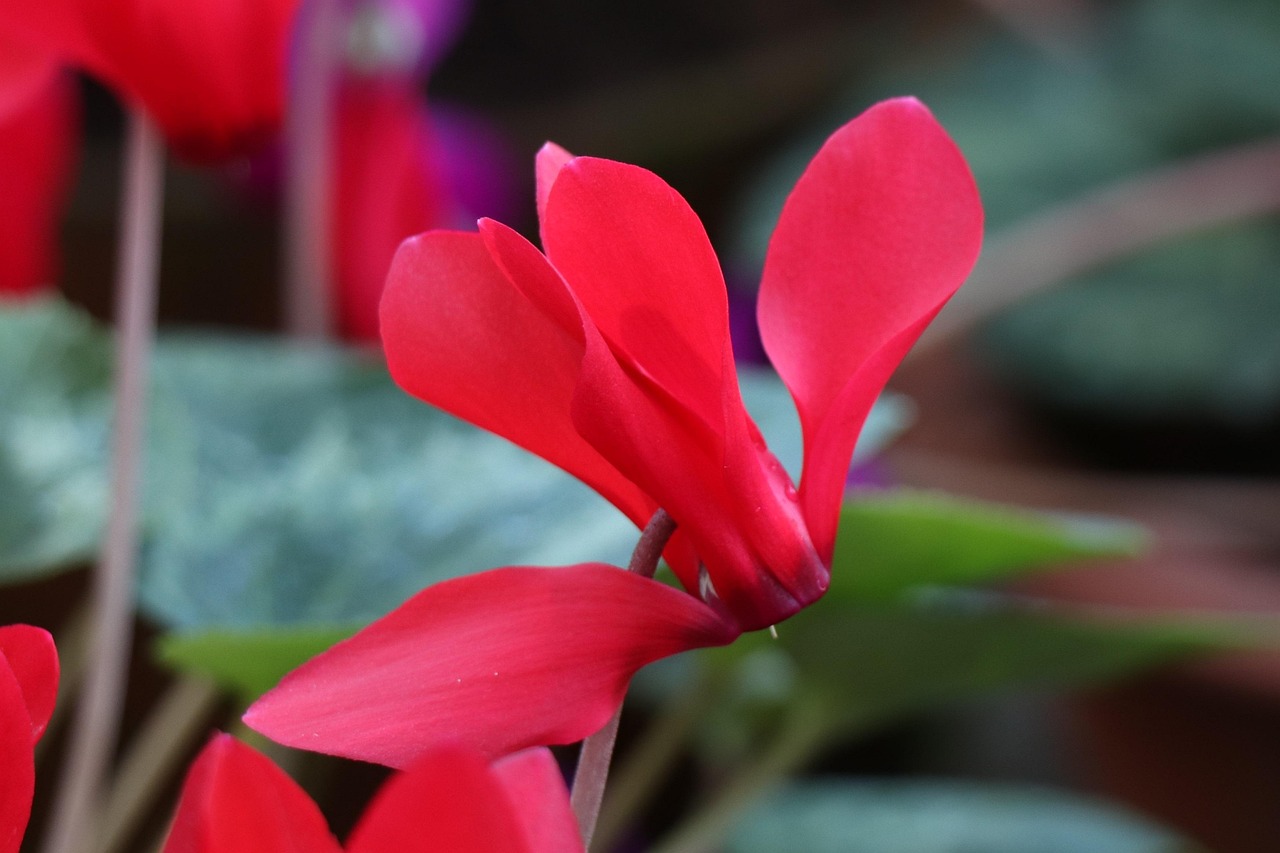 純牛奶最單純 第10頁(yè)