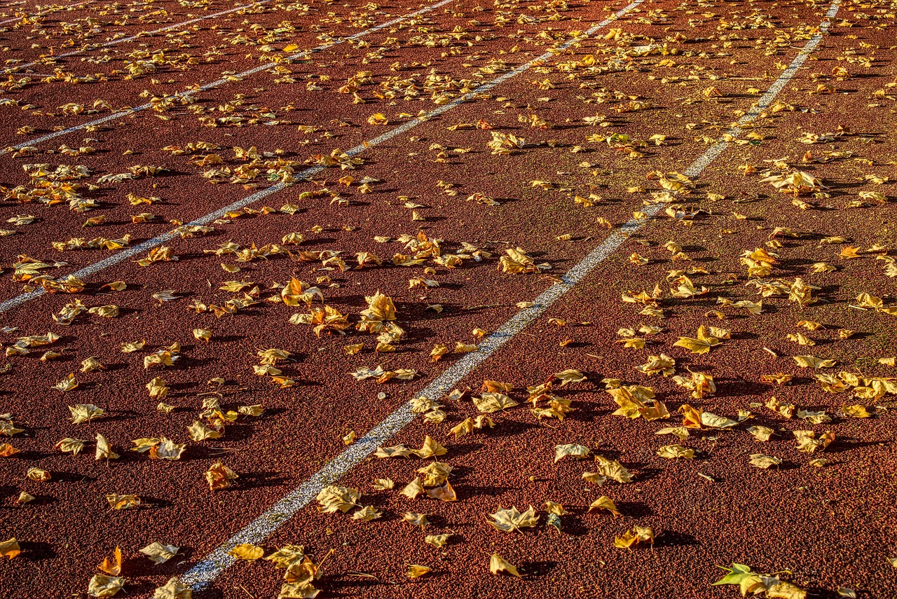 最新意甲賽事資訊速遞，概覽與動(dòng)態(tài)更新