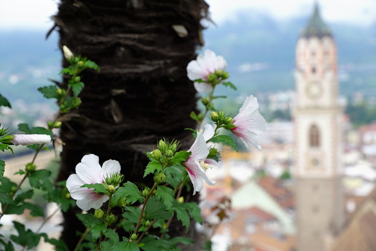 中印邊境局勢最新動態(tài)，對峙進展與前景展望