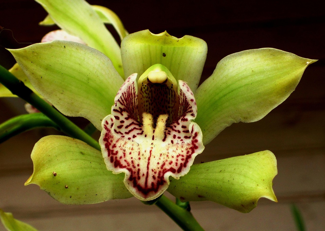 等你的季節(jié) 第8頁