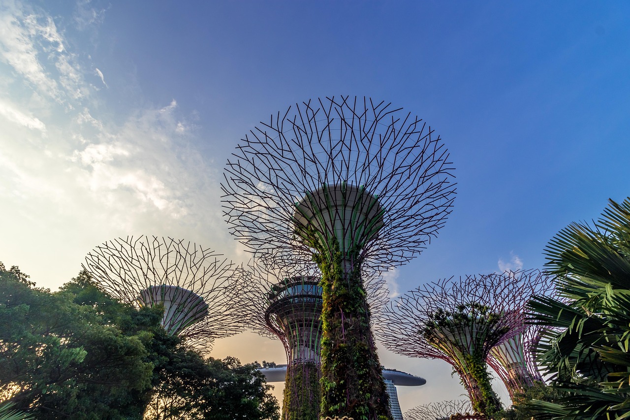 桌花造型花藝,最新圖片與流行趨勢探索
