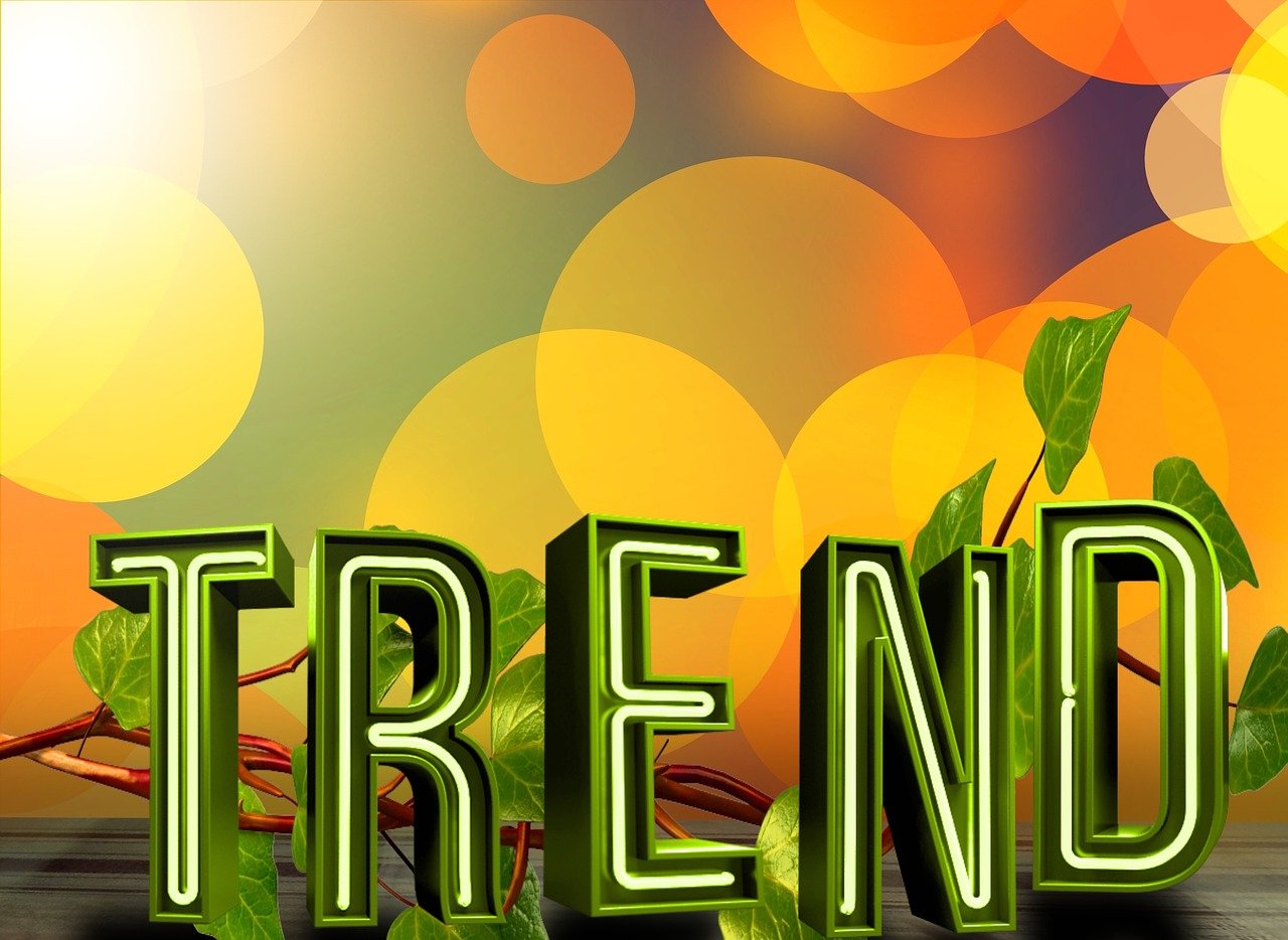 主播最新直播內(nèi)容，探索潮流趨勢與深度解讀熱門話題