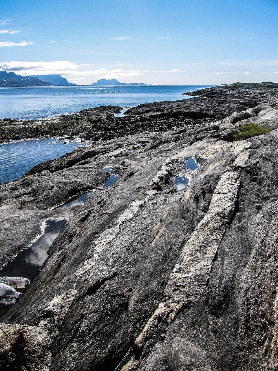 內(nèi)蒙古明星,草原與舞臺的璀璨之光
