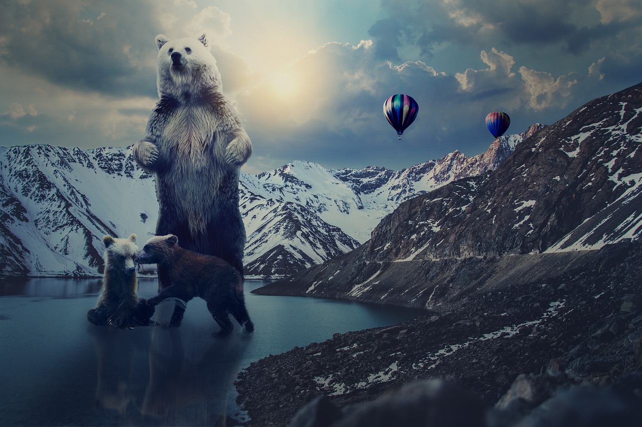 MP4動漫下載，探索與體驗之旅