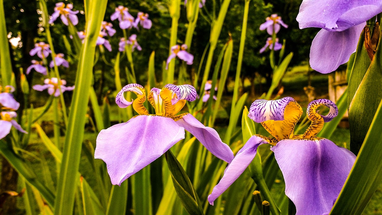 陸地夫婦的美好愛情故事，戀情動(dòng)態(tài)揭秘