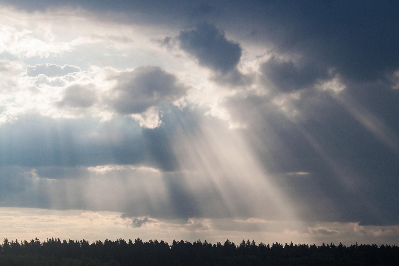 煙花不堪剪 第8頁