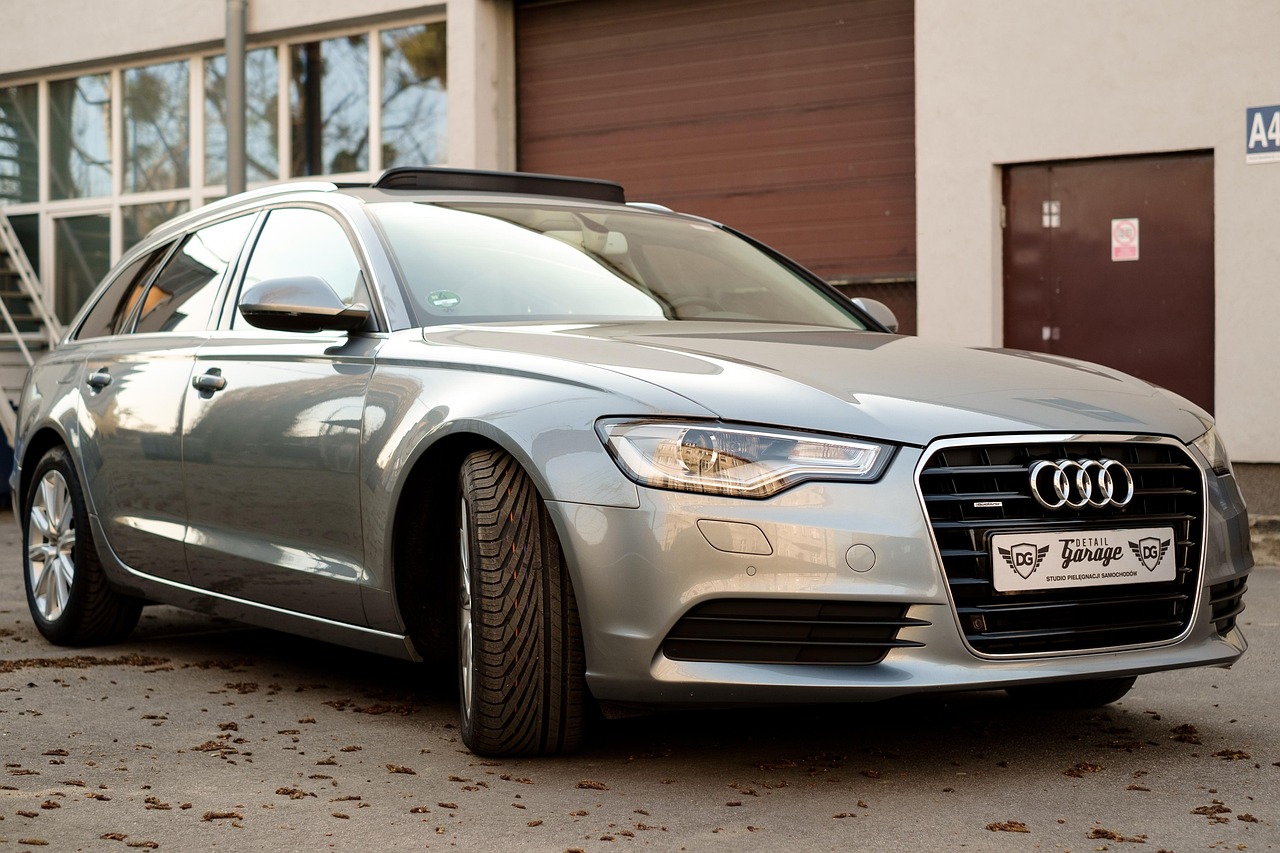 自由如風(fēng) 第5頁(yè)