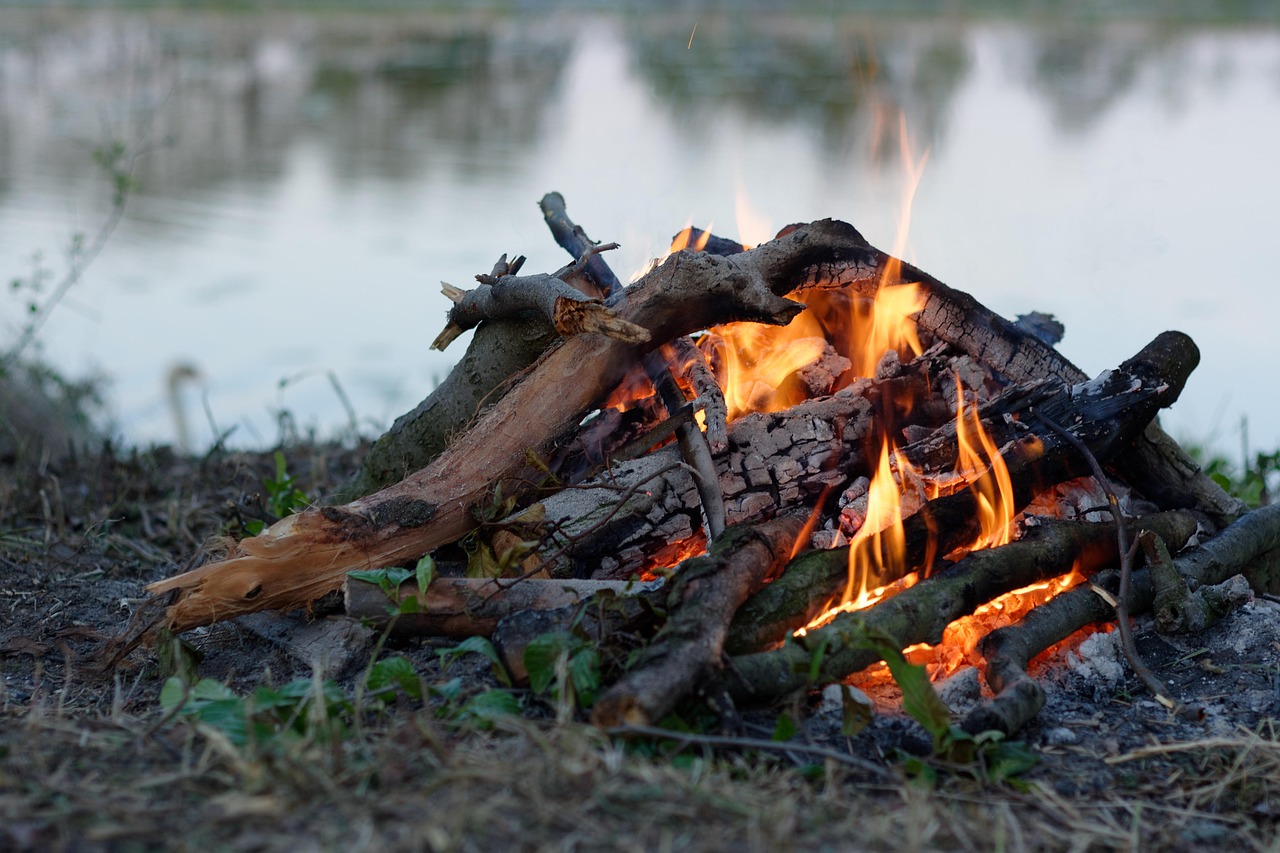 燃燒蔬菜破解版最新版攻略與體驗(yàn)分享，游戲解析及獨(dú)家體驗(yàn)分享