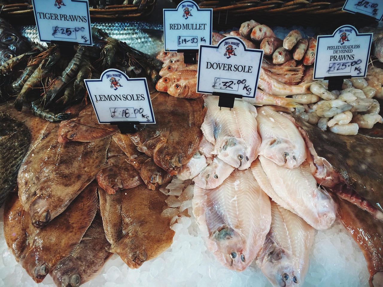 蝦的新鮮度保持方法指南