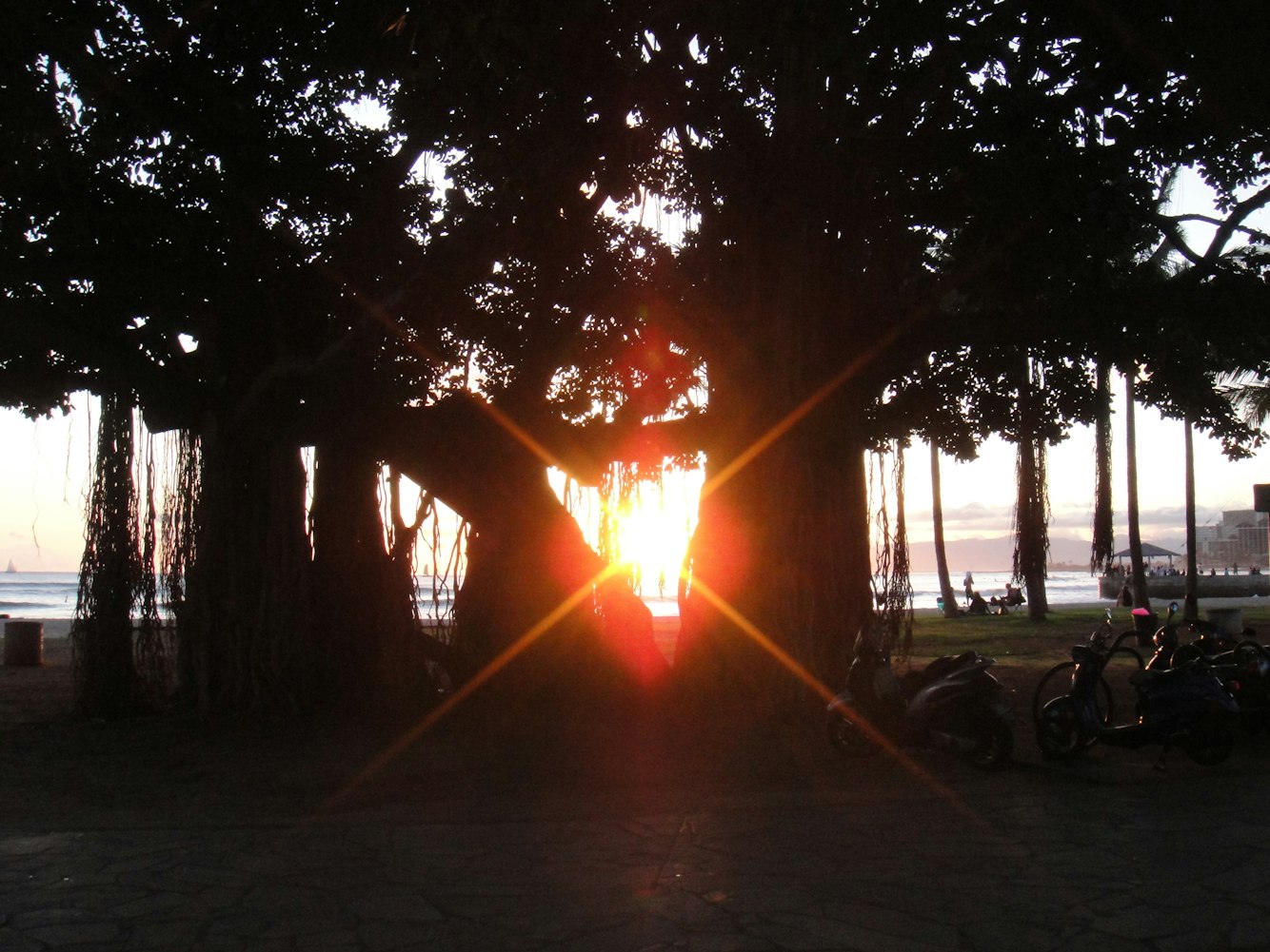 女生微信頭像動漫,個性情感與獨特表達