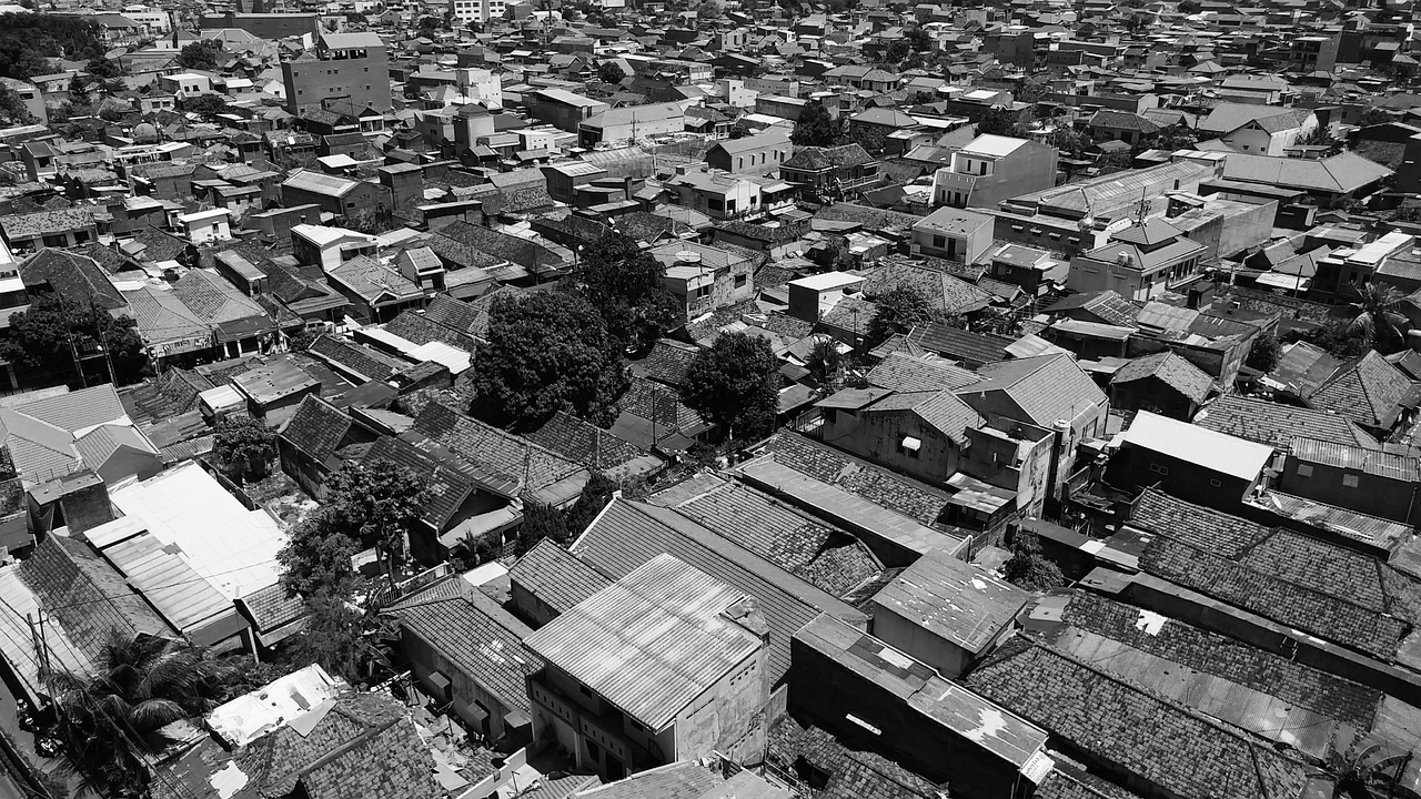 寶雞市最新動(dòng)態(tài)解讀，全面梳理最新消息