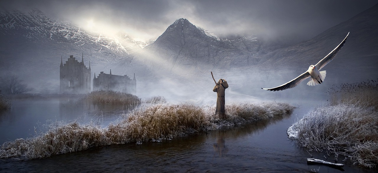 最新冰鳥品種揭秘，探索自然奧秘，見證神秘冰鳥奇跡