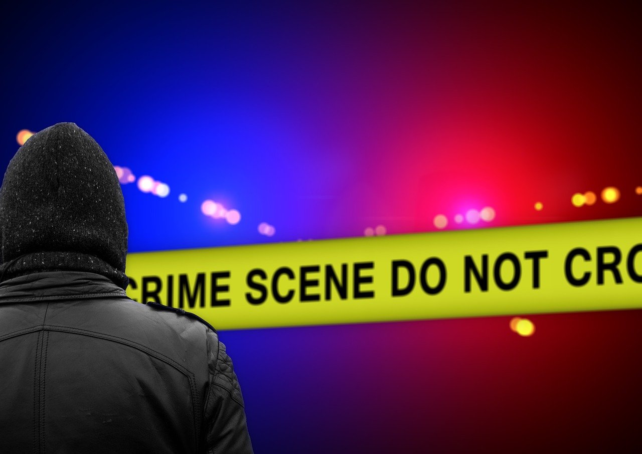 寶貝請關注最新章節(jié)更新動態(tài)