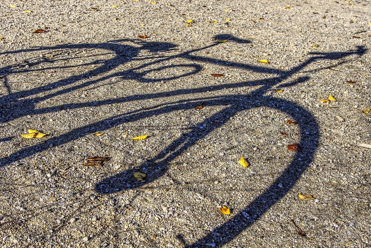 新港線最新動態(tài),區(qū)域發(fā)展的強(qiáng)勁引擎領(lǐng)航者