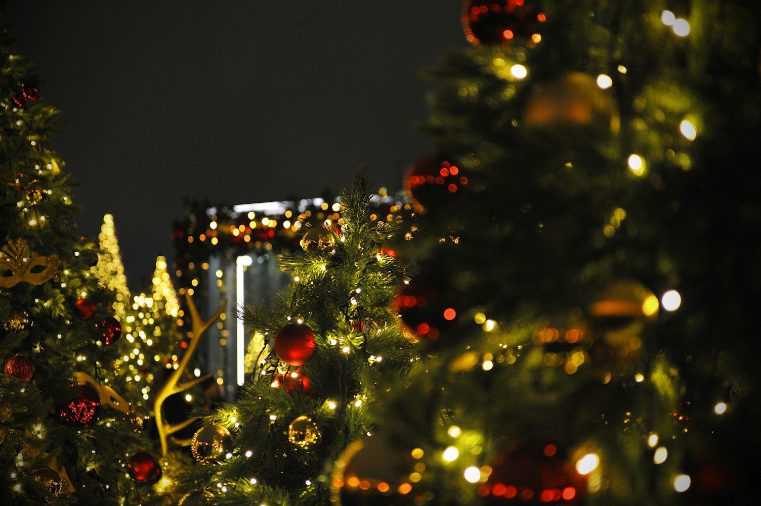 二次元魅力之源，萌動(dòng)漫頭像探索之旅