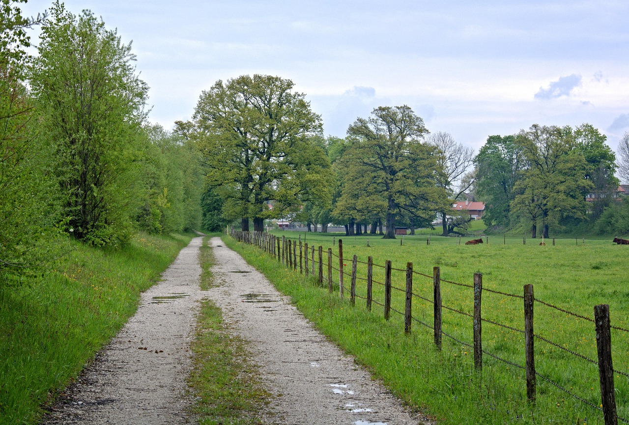 醉玲瓏持續(xù)領(lǐng)跑收視排行，再創(chuàng)佳績的新動態(tài)