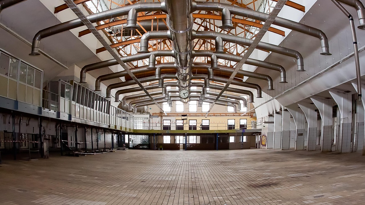 OL界最新動(dòng)態(tài)，引領(lǐng)行業(yè)變革的關(guān)鍵力量揭秘！