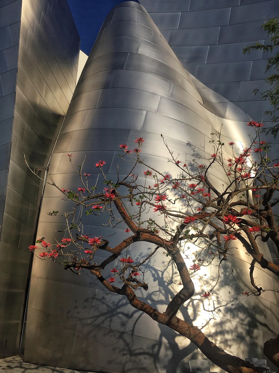 廣紙新城最新動(dòng)態(tài)，城市前沿發(fā)展展望與未來揭秘