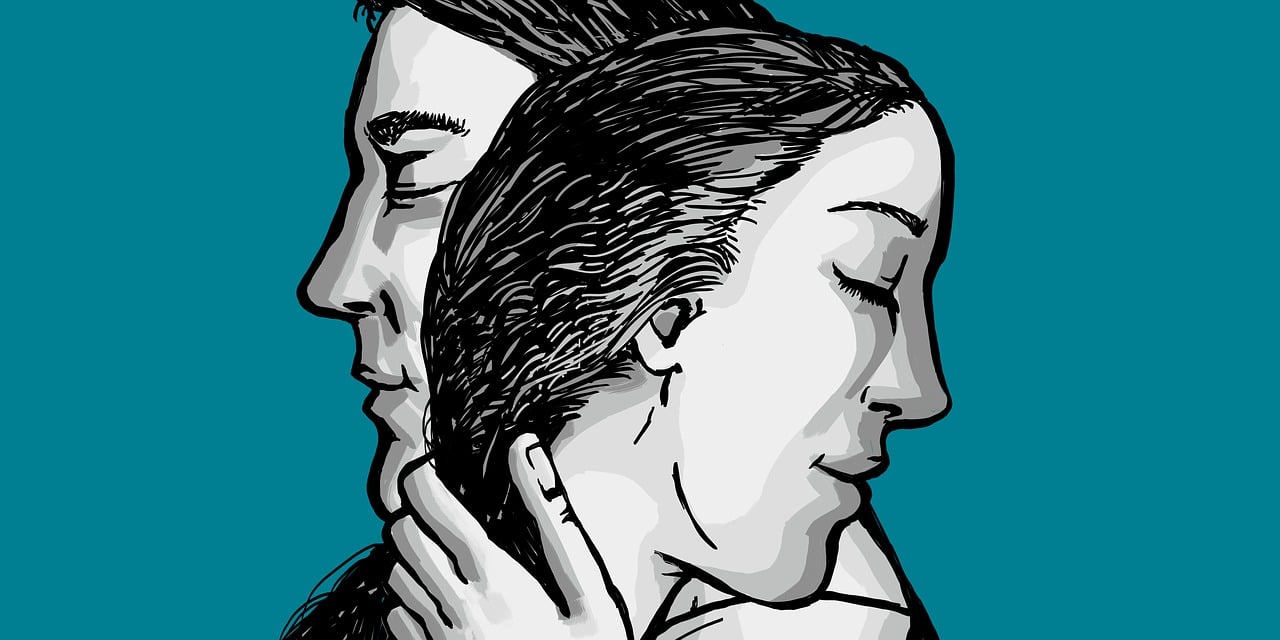 母豬動(dòng)漫,深度探索與賞析