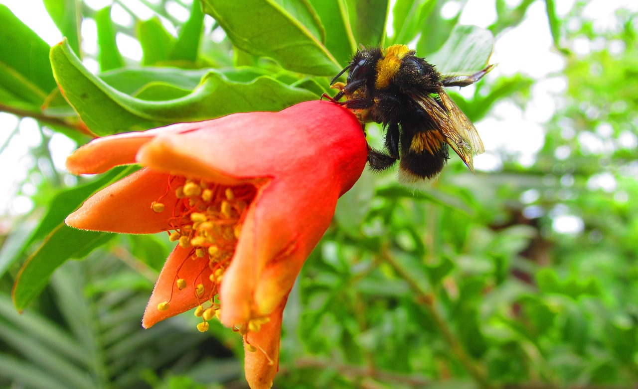 中核二三公司最新招聘動態(tài)，探究背后的意義與影響
