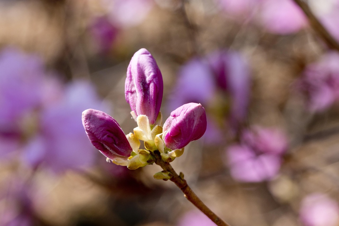 2025年10月17日 第4頁