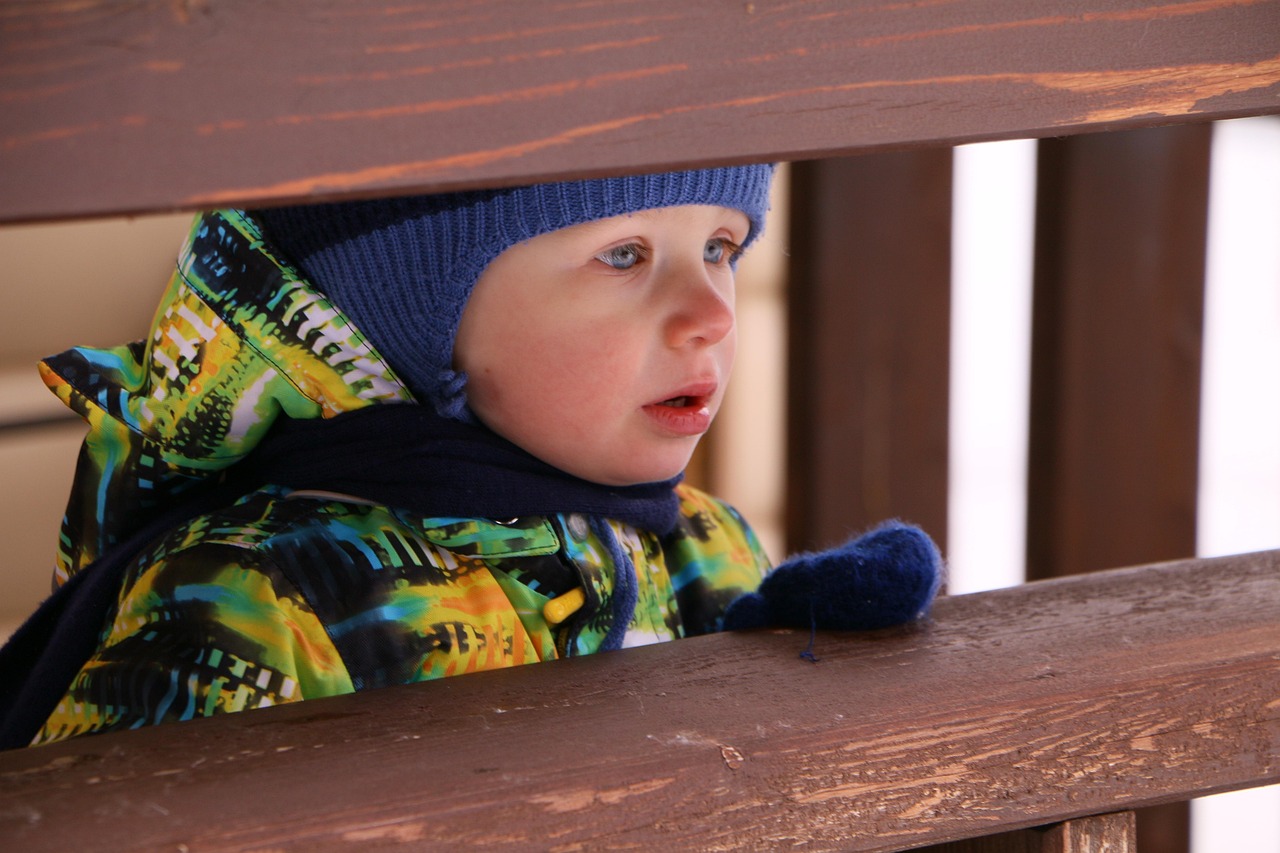 趙雅芝最新動態(tài),優(yōu)雅魅力不減當(dāng)年