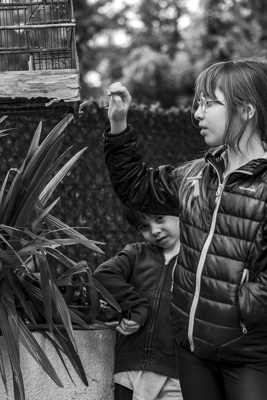 深情觸摸,韓國(guó)電影的藝術(shù)魅力探索