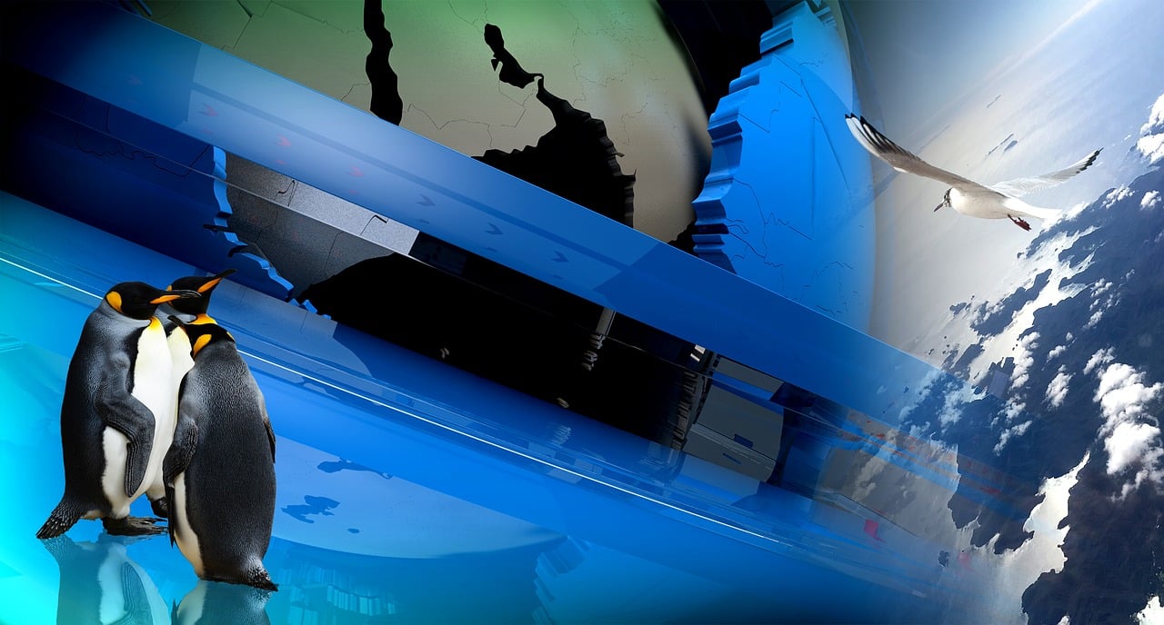 探索免費(fèi)觀影新時(shí)代，最新電影免費(fèi)觀看全攻略