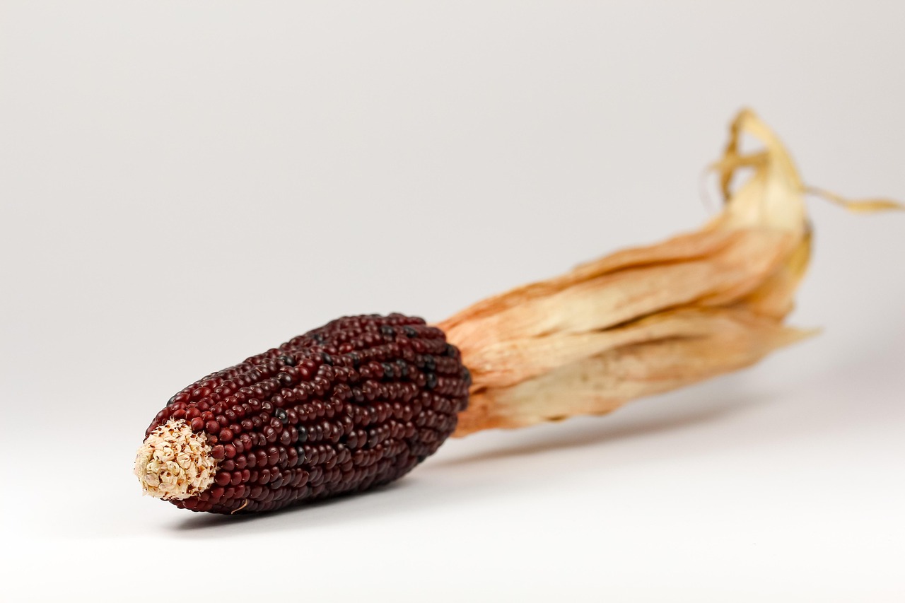 京山動態(tài)，自然美景與文化底蘊的交融探秘之旅